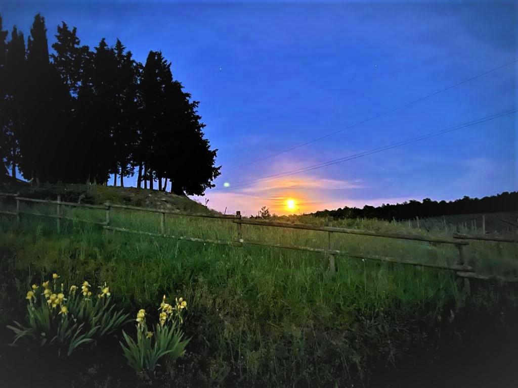 Podere La Selva Раполано-Терме Экстерьер фото