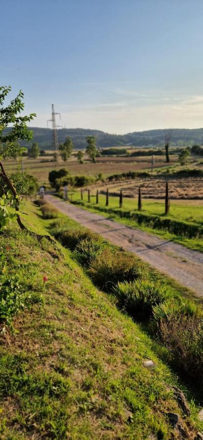 Podere La Selva Раполано-Терме Экстерьер фото