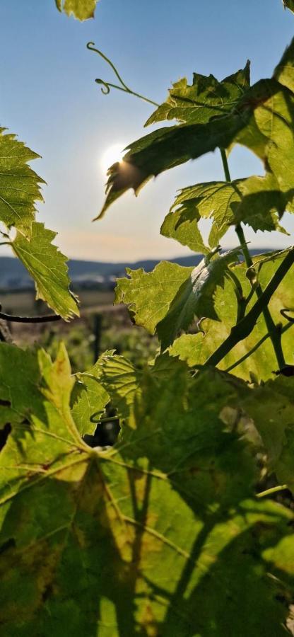 Podere La Selva Раполано-Терме Экстерьер фото