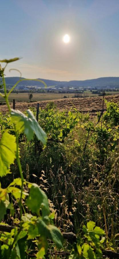 Podere La Selva Раполано-Терме Экстерьер фото