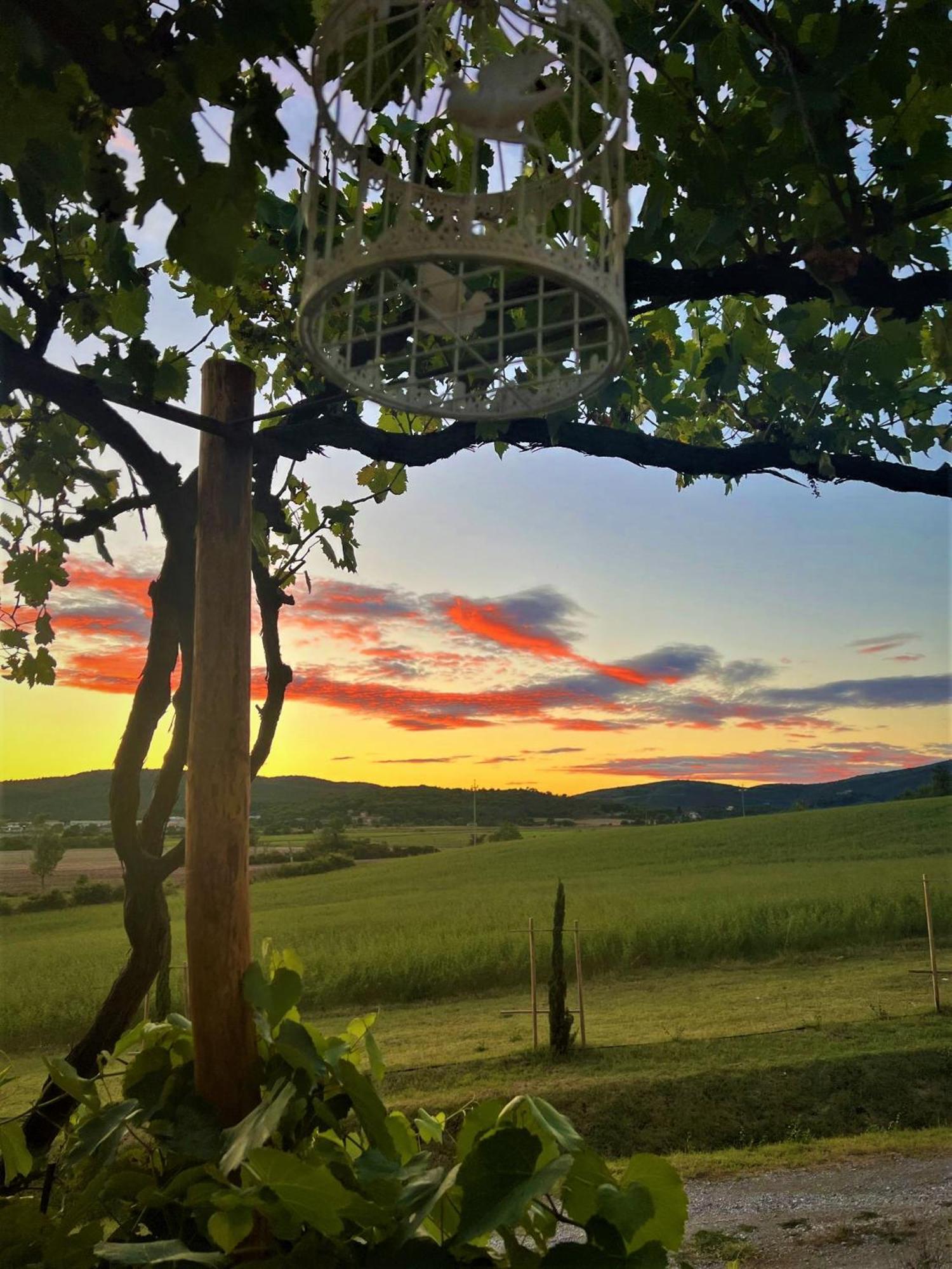 Podere La Selva Раполано-Терме Экстерьер фото